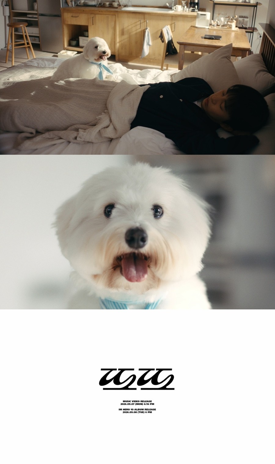 사진: 물고기뮤직 제공