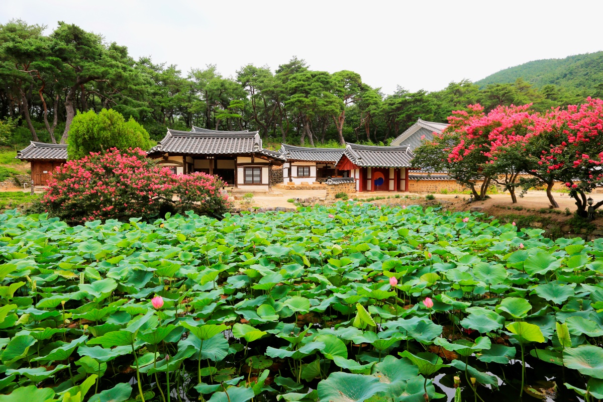 경주