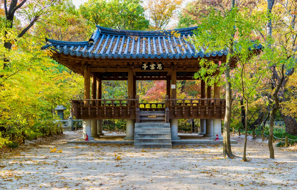 버베나
