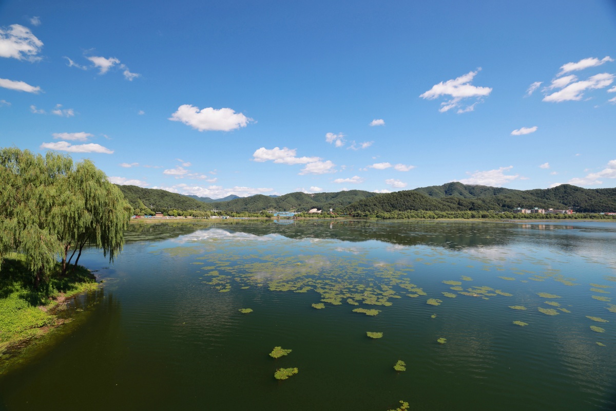 강원