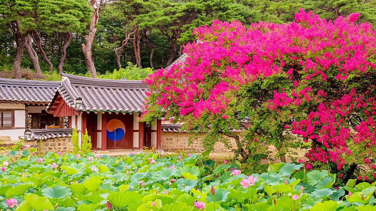 경주