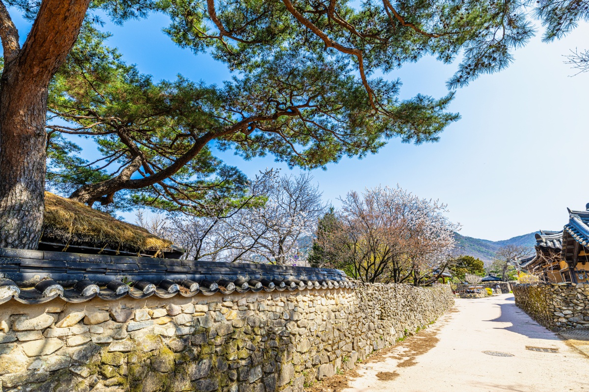 충남