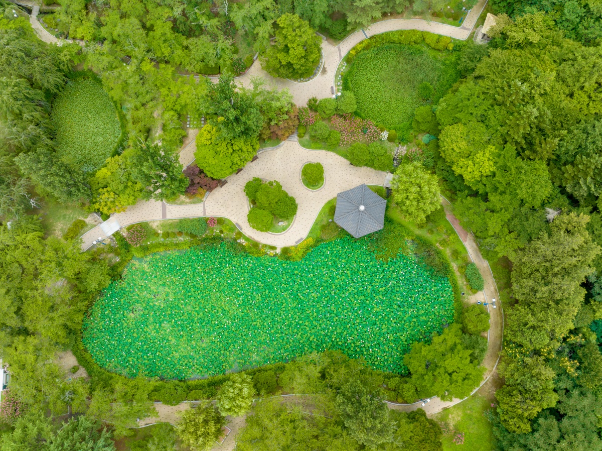 경주