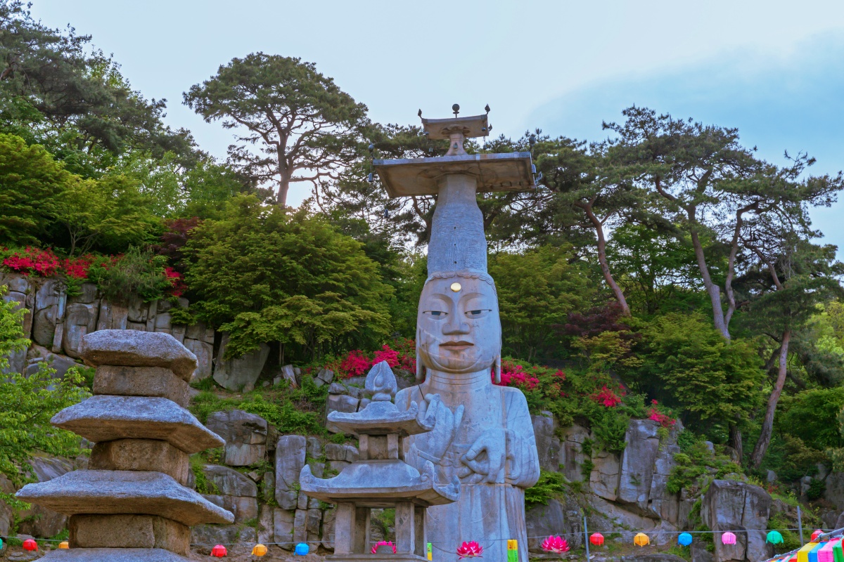 충남