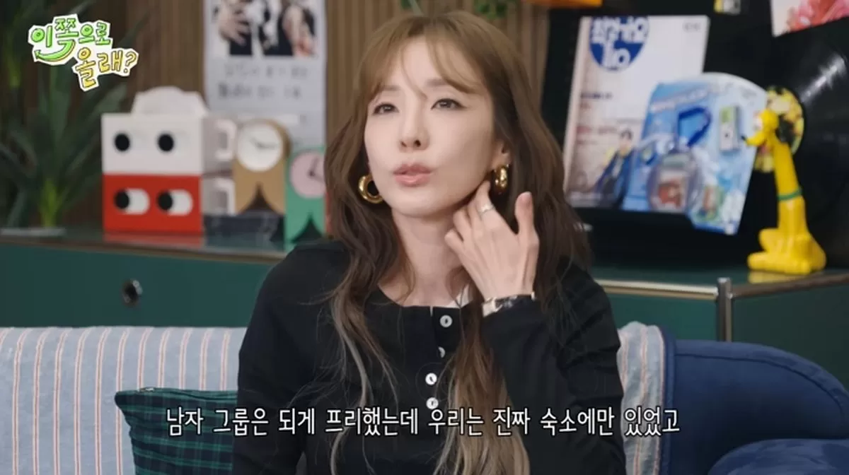 引用:YouTubeチャンネル「ドンへの水と白頭ウニョク(韓国語原題訳)」