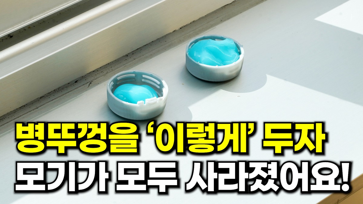 모기 퇴치제