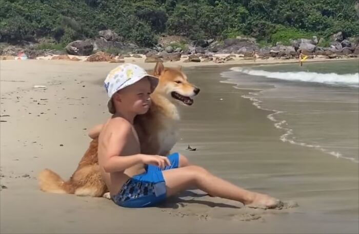 애니멀플래닛