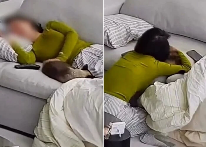 애니멀플래닛