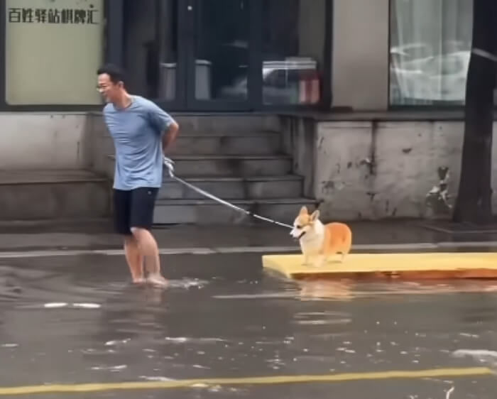 애니멀플래닛