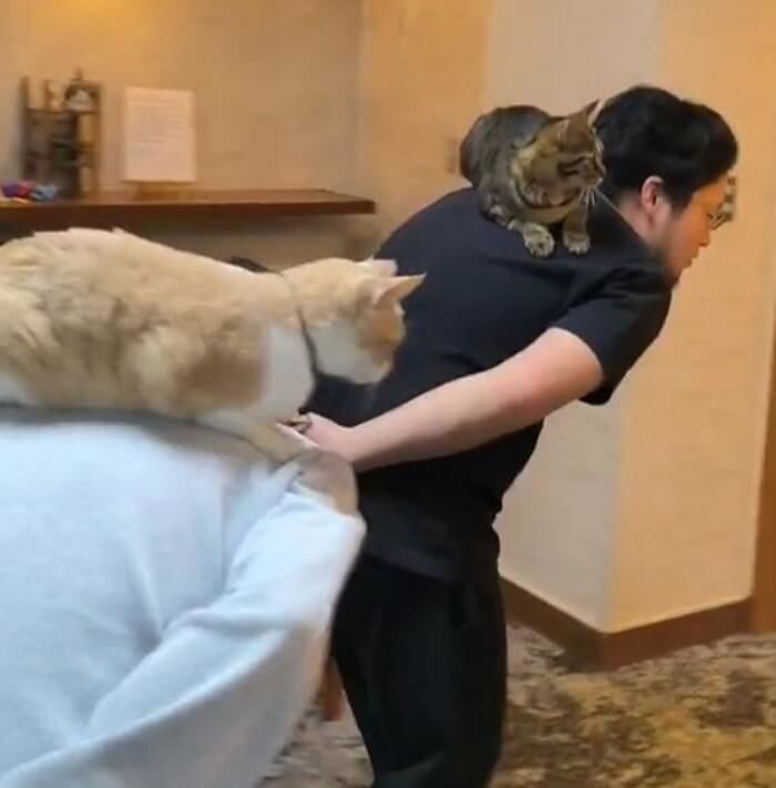애니멀플래닛