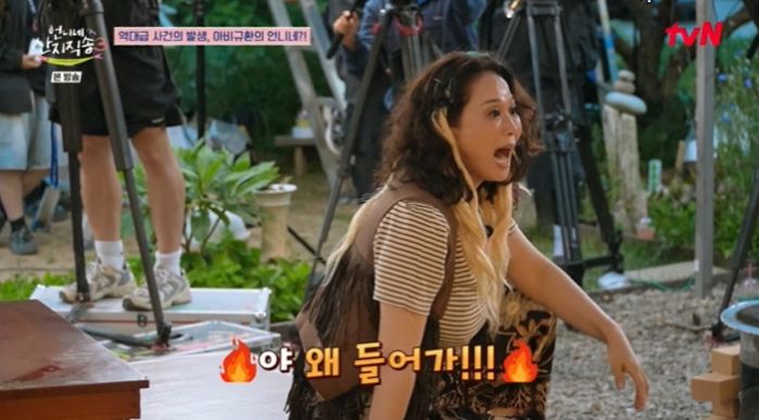 애니멀플래닛