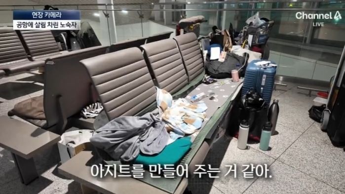 애니멀플래닛
