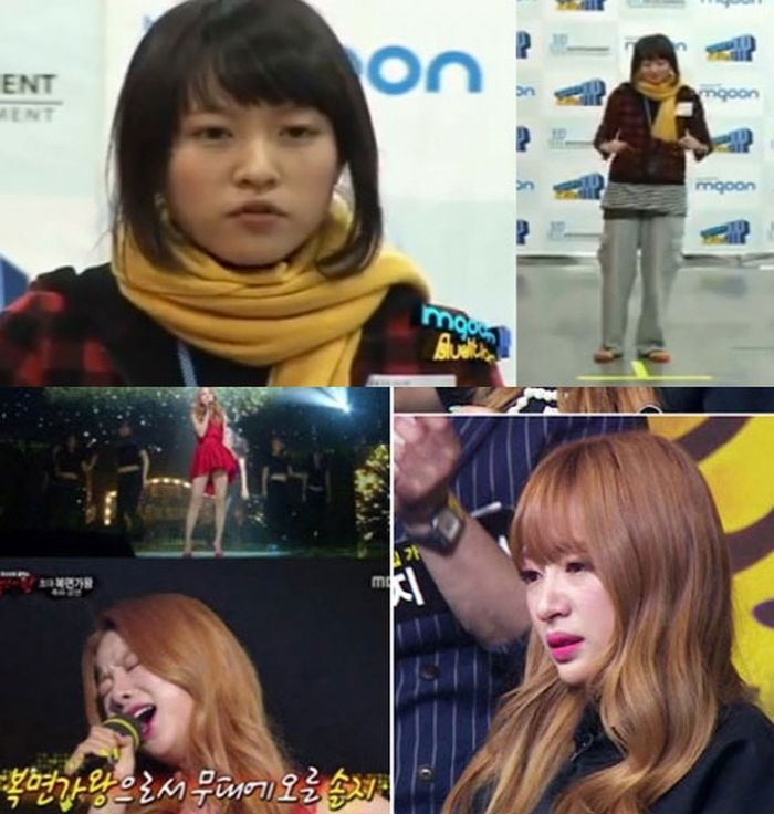 애니멀플래닛