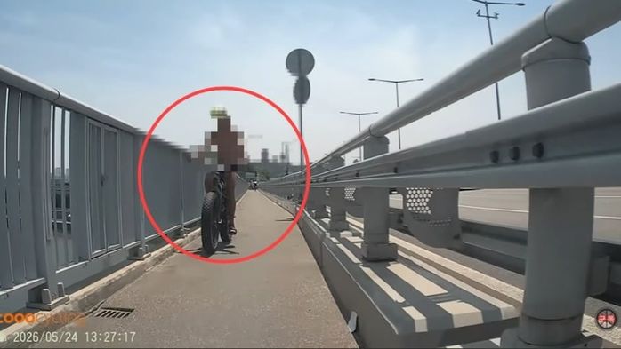 애니멀플래닛