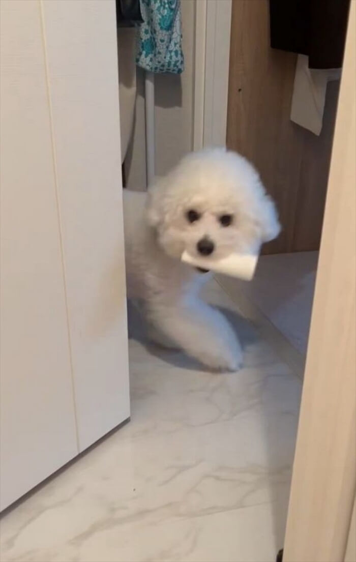 애니멀플래닛