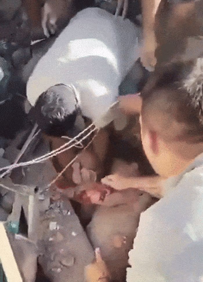 애니멀플래닛