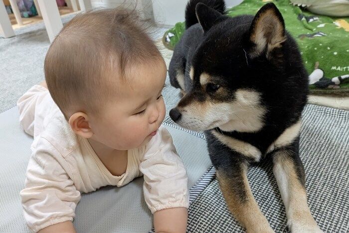 애니멀플래닛