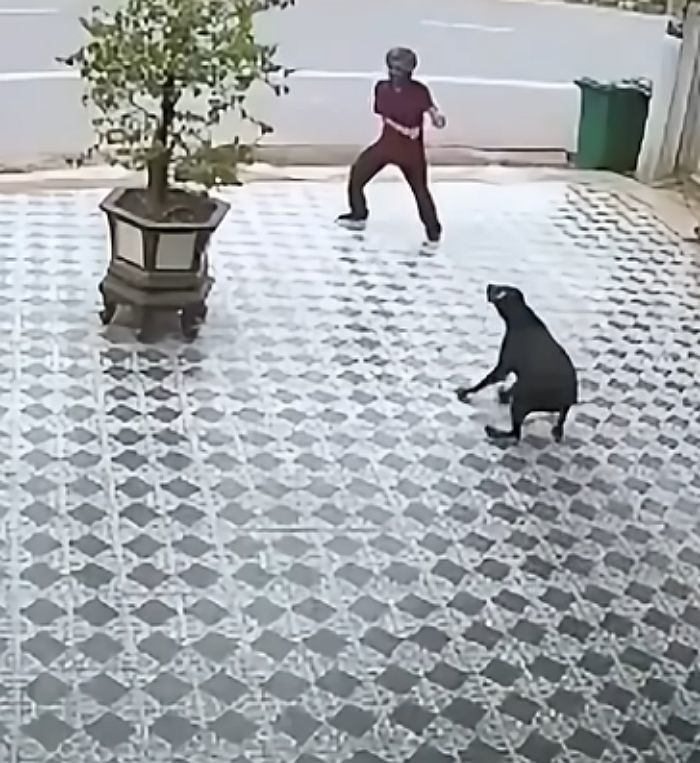 애니멀플래닛