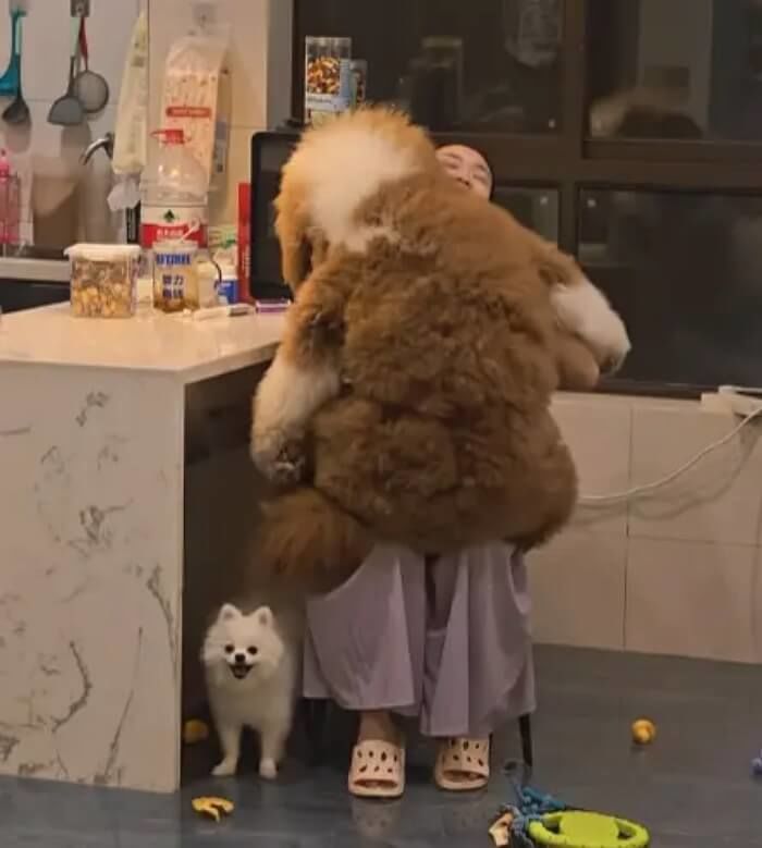 애니멀플래닛