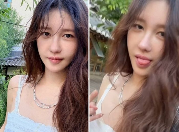 애니멀플래닛