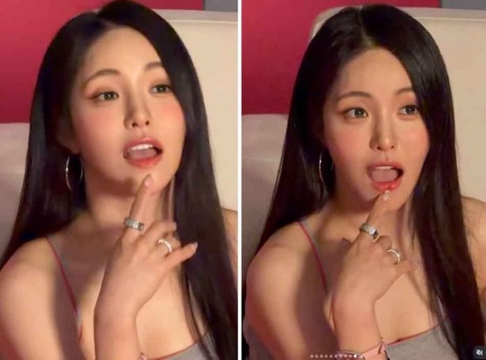 애니멀플래닛