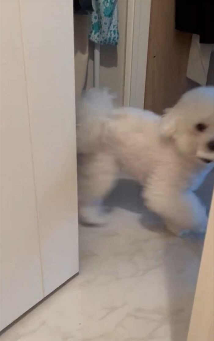 애니멀플래닛