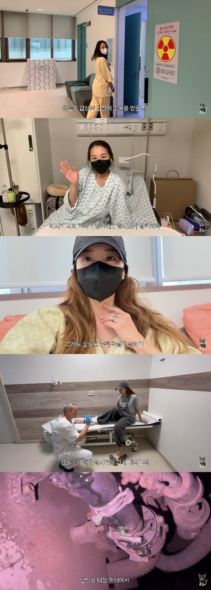 애니멀플래닛