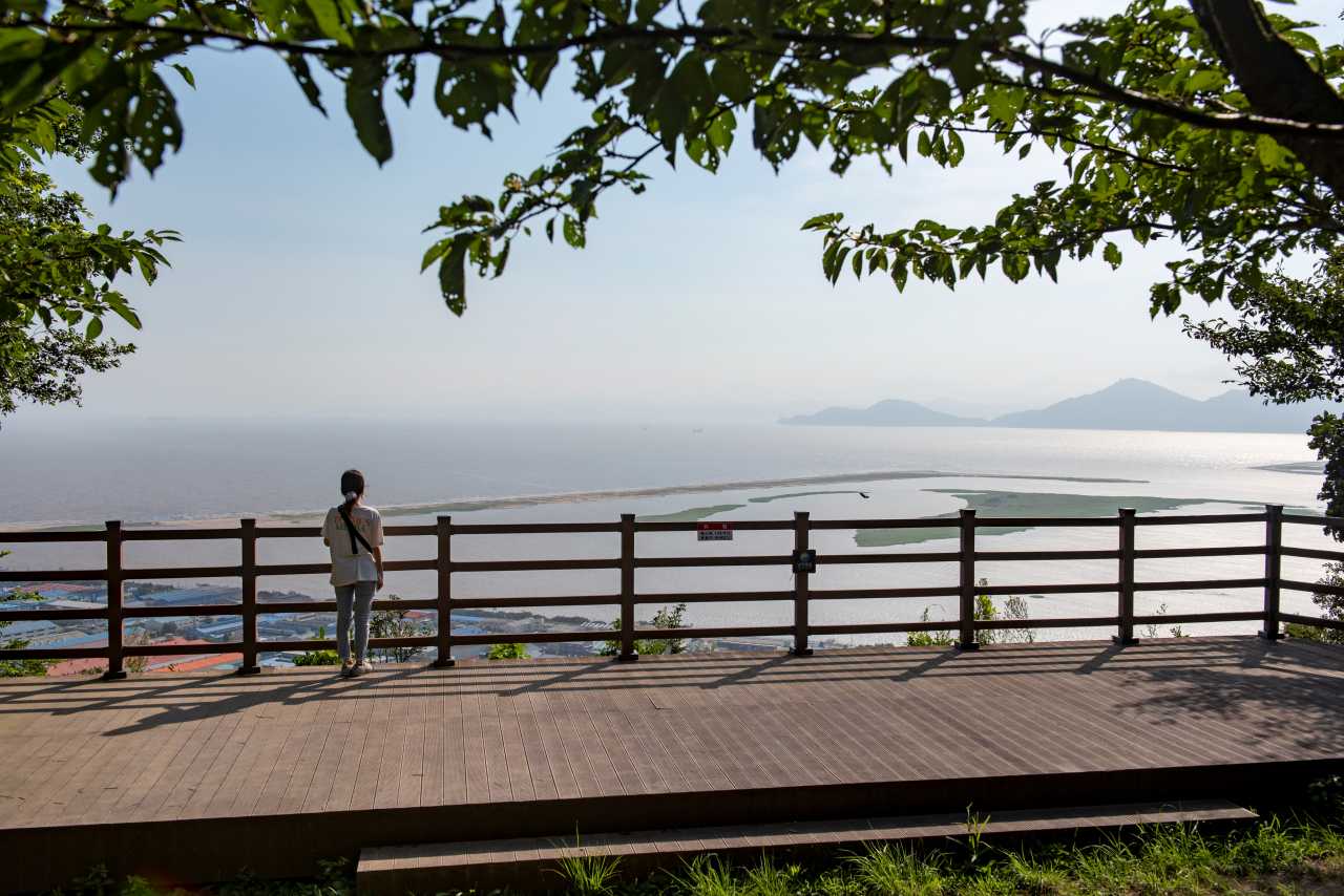 아미산전망대 / 사진=부산관광공사 써머트리