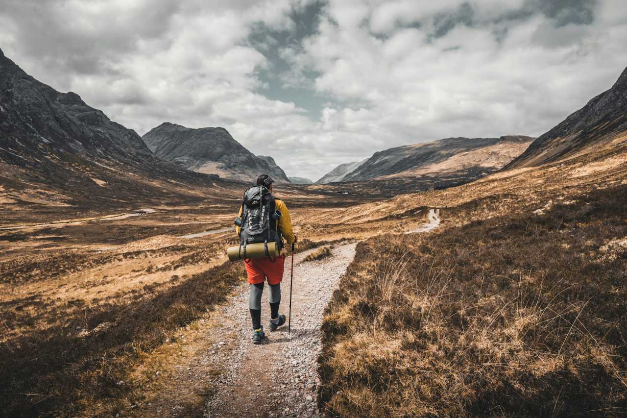 웨스트하이랜드  / 사진=unsplash