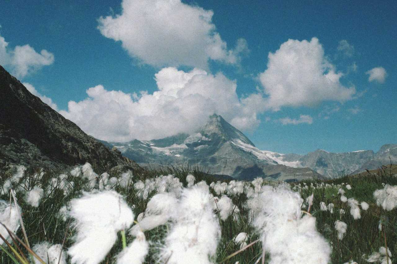마테호른 기차로 정복하기 / 사진=unsplash