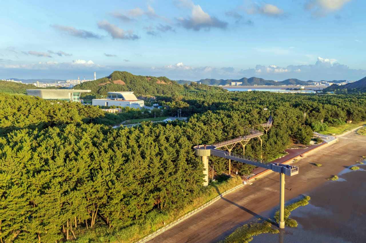 장항 송림 전경 / 사진=한국관광공사 포토코리아@김석태