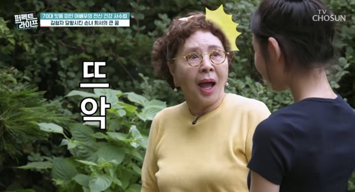[사진=TV조선]