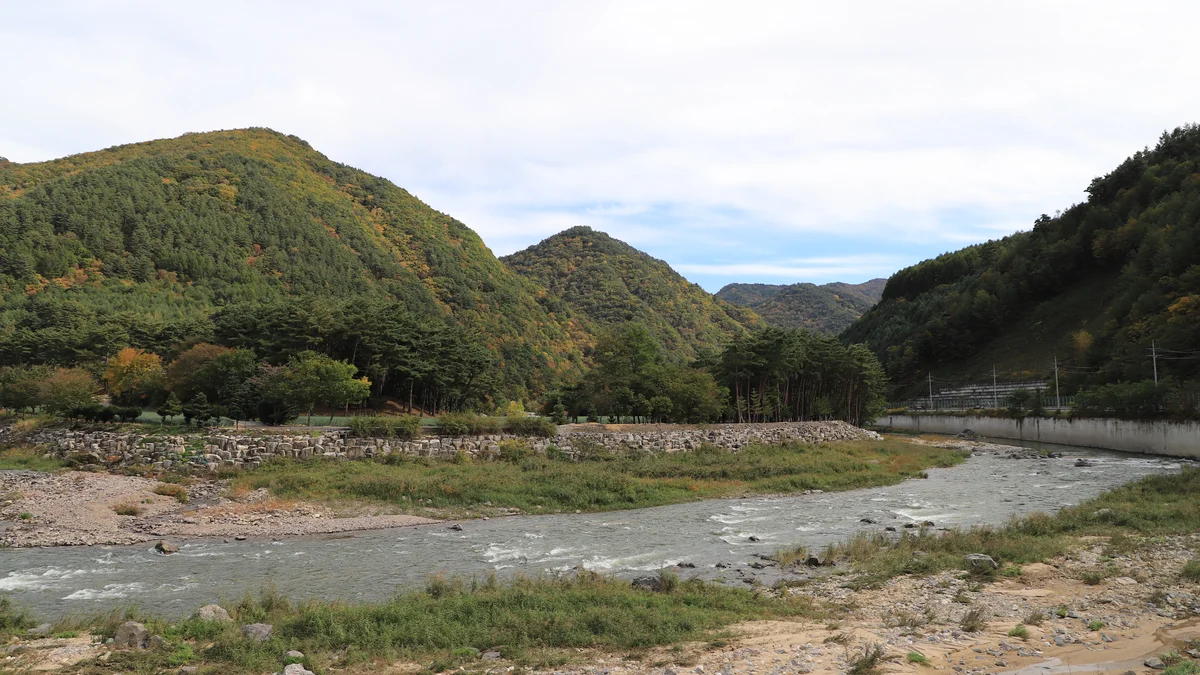 진부(오대산)관광농원