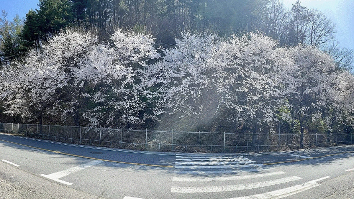 우리들캠핑장