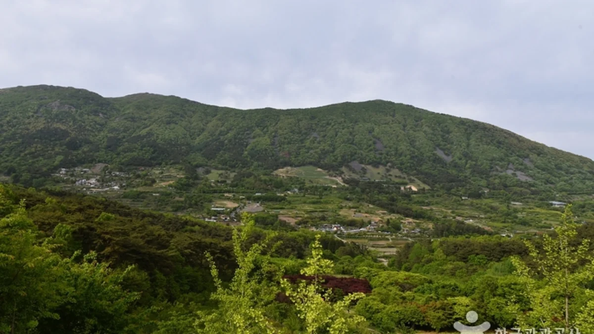만연산