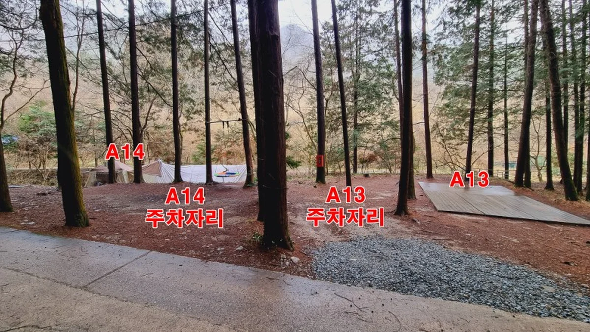 편백힐(치유의숲)