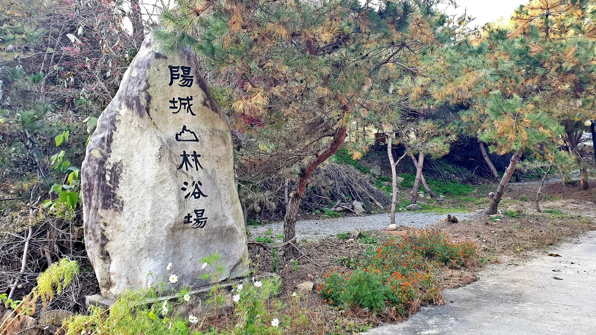 산우물 북 캠핑장