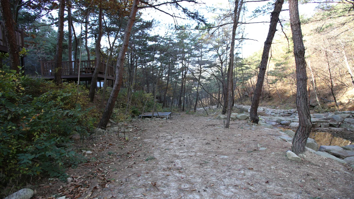 청계동 솔바람야영장