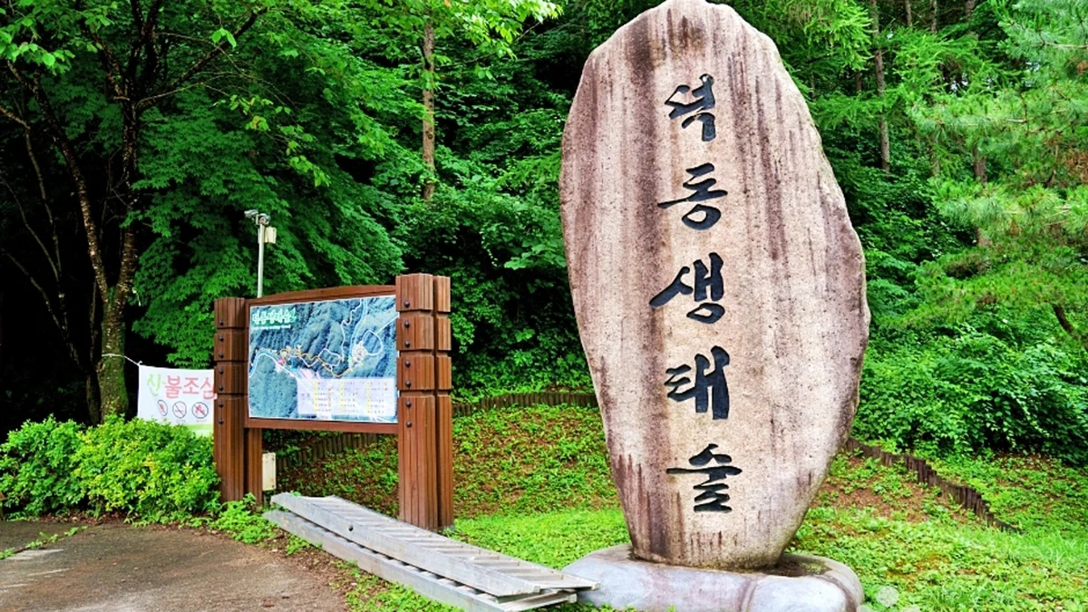 덕동계곡