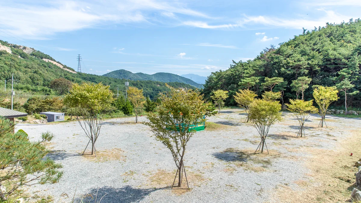 불태산야영장