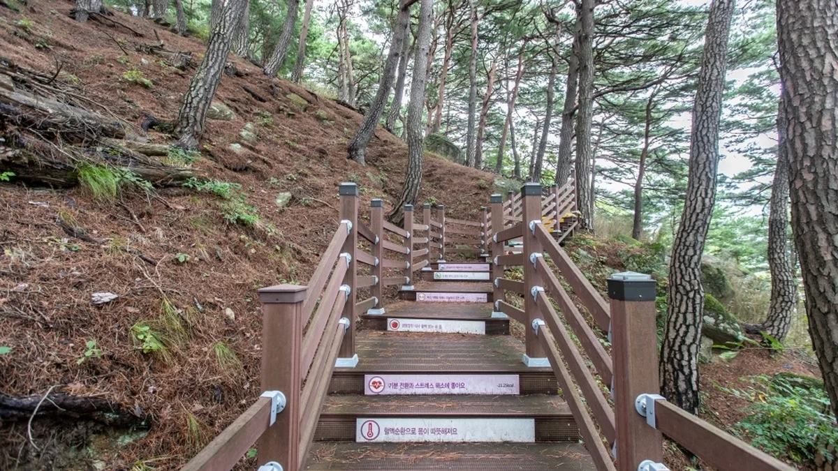 죽도정·죽도 전망대