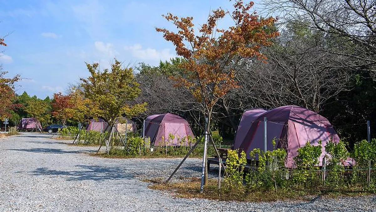 함평나비마을 서울캠핑장
