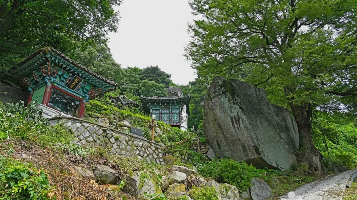 백운사(괴산)