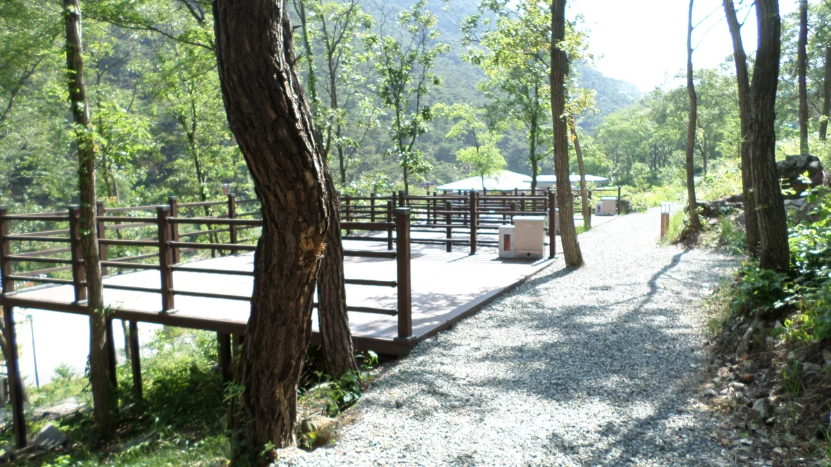 성불산자연휴양림 숲속캠핑장