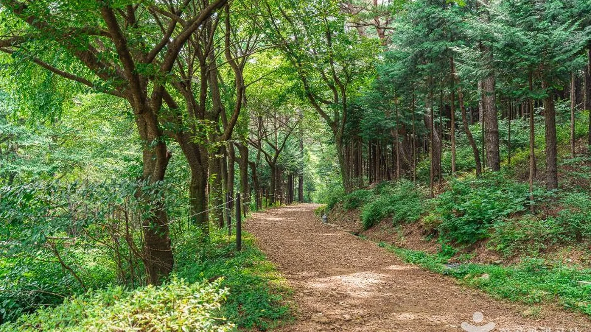 문수산산림욕장