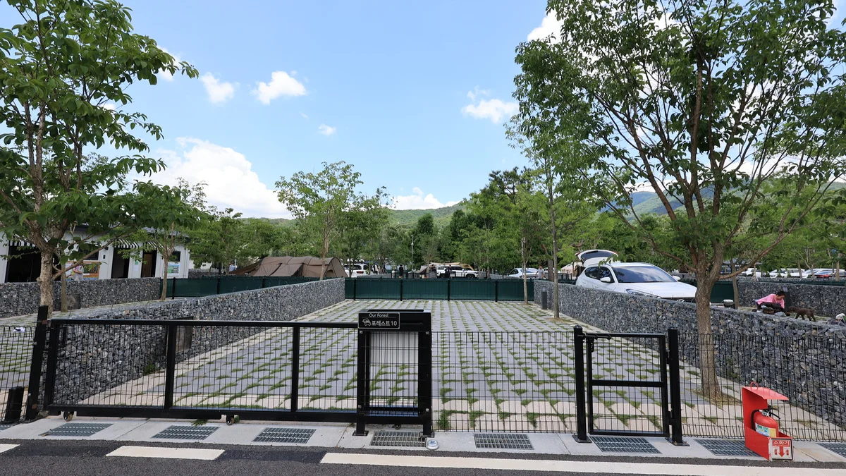 포레스트