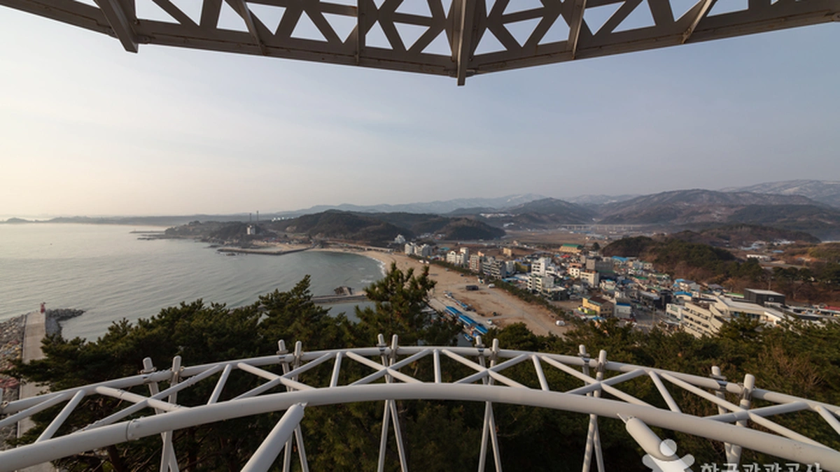 죽도정·죽도 전망대