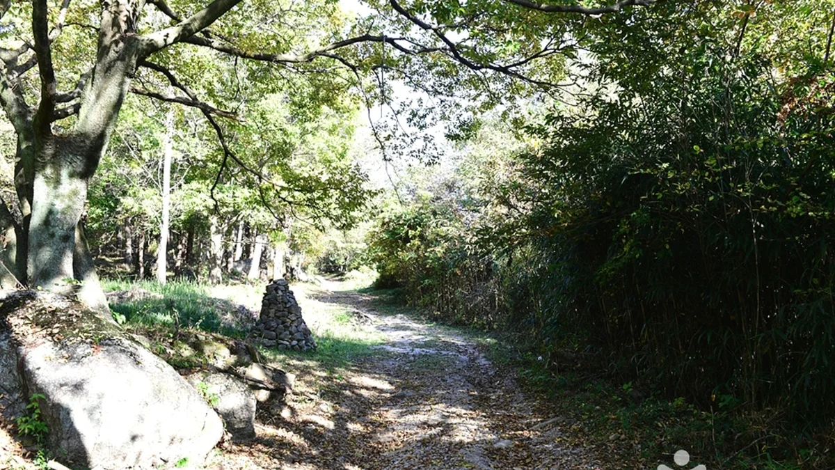 동호해수욕장