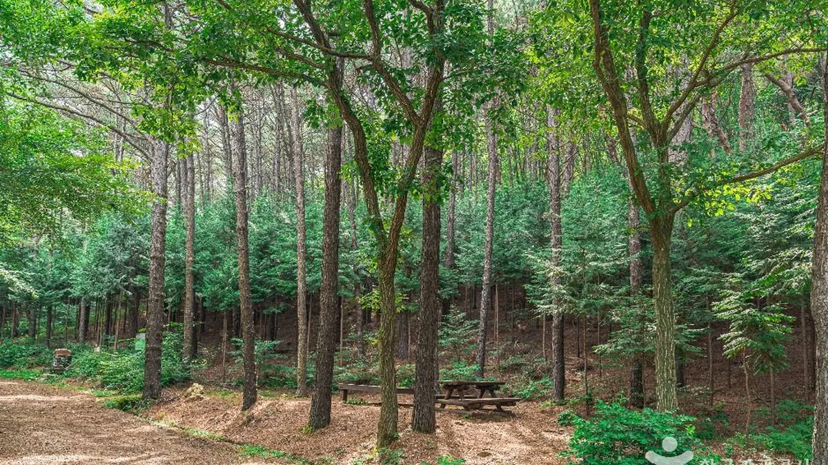 문수산산림욕장