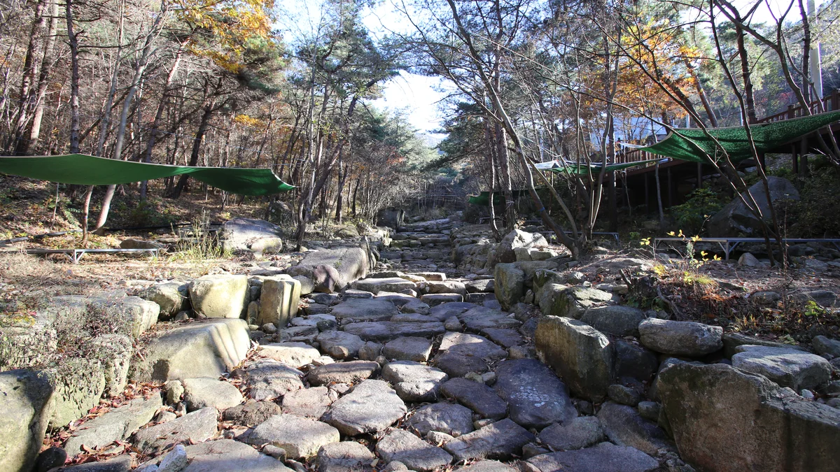 청계동 솔바람야영장